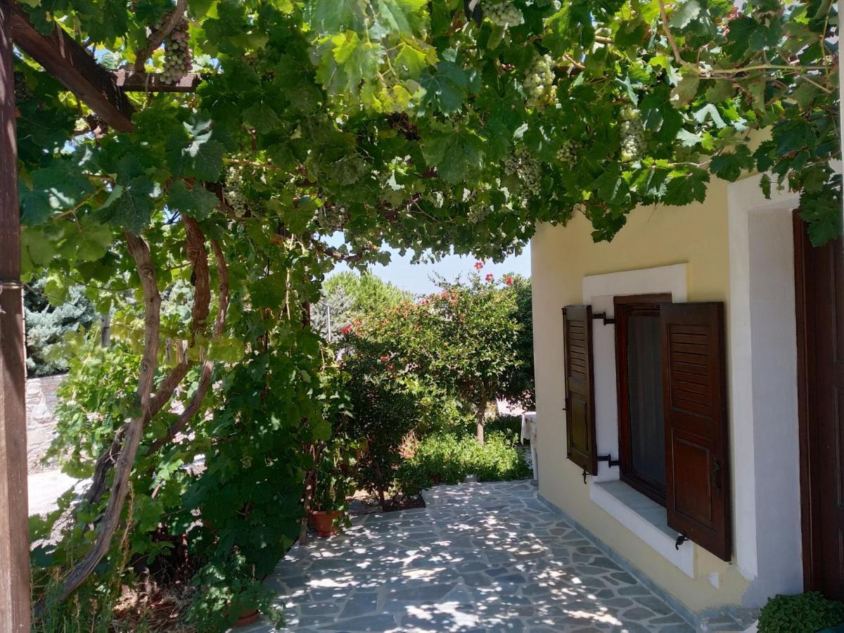 Hotel Theodorou Azolimnos Exterior foto